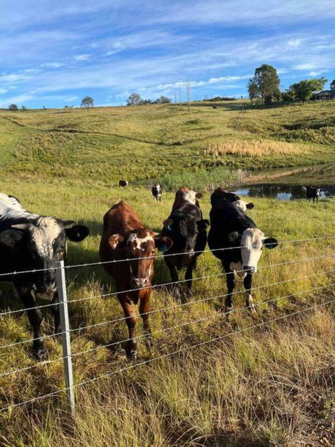 Modern Farmhouse - Melbourne Tourism 3