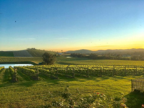 Mount Hope Estate Vineyard - Melbourne Tourism 0