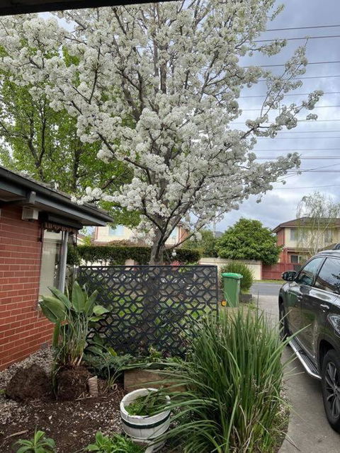 Newly Refurbished House- SuperFast Internet - Melbourne Tourism 2
