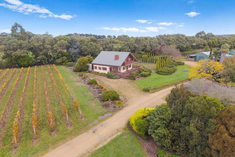 Northway Downs Estate Vineyard - Melbourne Tourism 3