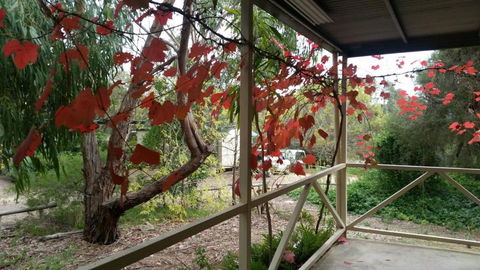 Padthaway Caravan Park - Melbourne Tourism 1