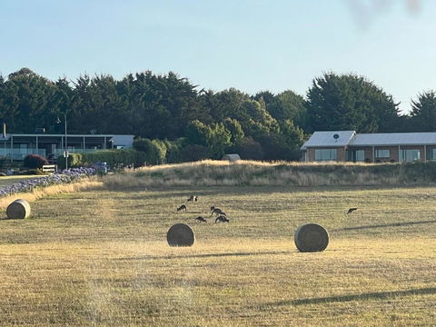 Paradise In San Remo- Philip Island - Melbourne Tourism 2