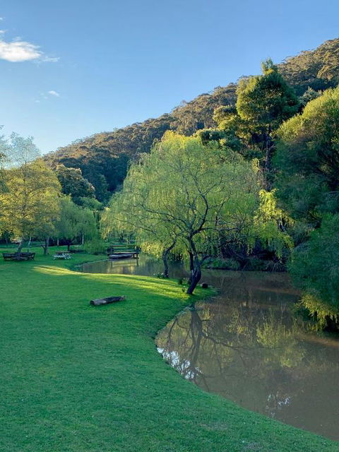 Pennyroyal Otways Retreat - Melbourne Tourism 3