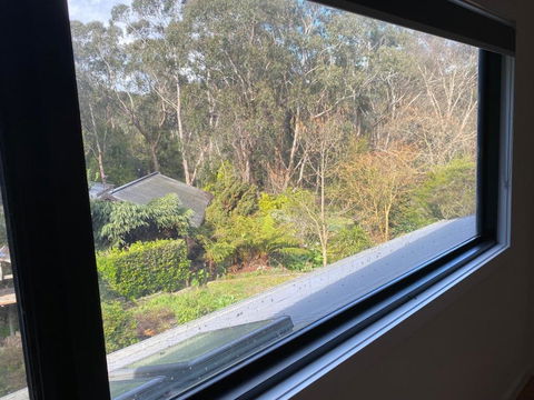 Pet And Friends B&B - Melbourne Tourism 3