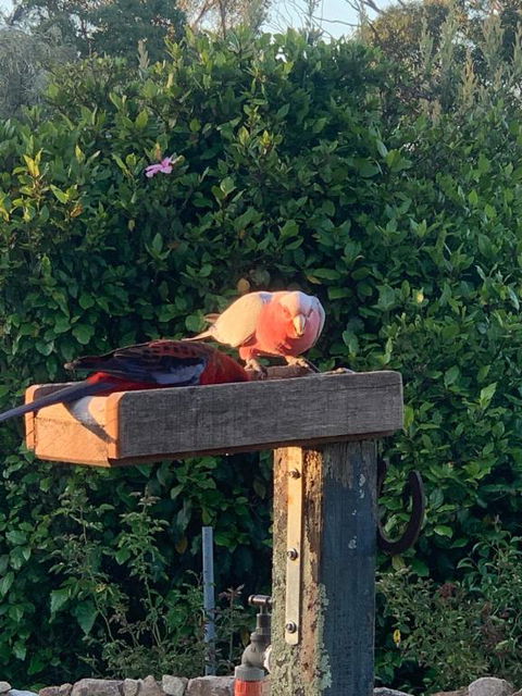 Pier 9 - Melbourne Tourism 3