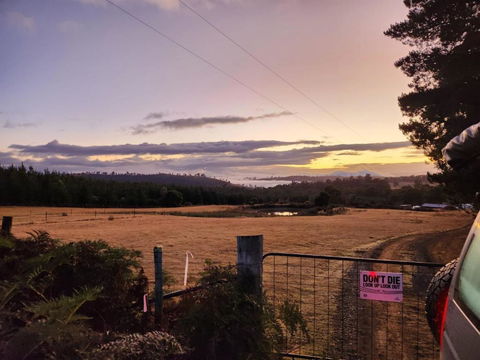 Pine Edge Heights By Tiny Away - Melbourne Tourism 2