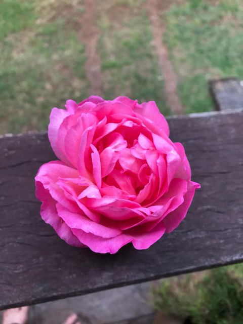 PK Illusions - Melbourne Tourism 1