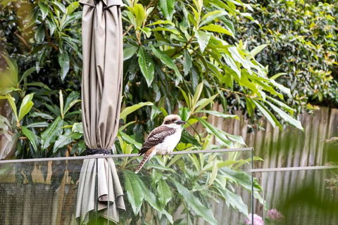 Quaint Queen Room - Central Location At Pymble - Shared Bathroom - Melbourne Tourism 1