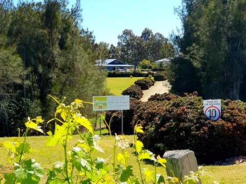 Red Door Collective - RDC Vineyard Estate, Luxury Adult Only Stay - Melbourne Tourism 0