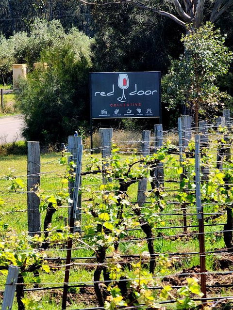 Red Door Collective - RDC Vineyard Estate, Luxury Adult Only Stay - Melbourne Tourism 1