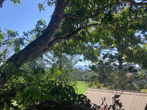 Potters Cottage - Melbourne Tourism 3