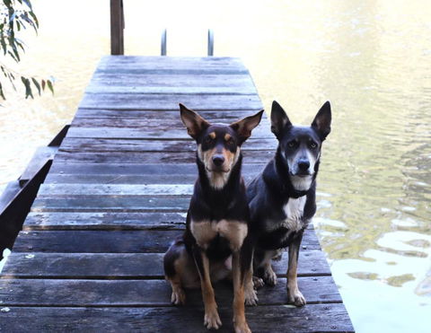 Preston Valley Country Cabin - Melbourne Tourism 3