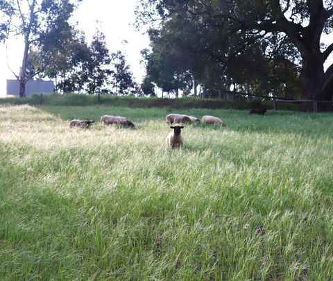 Preston Valley Shed Stay - Melbourne Tourism 2