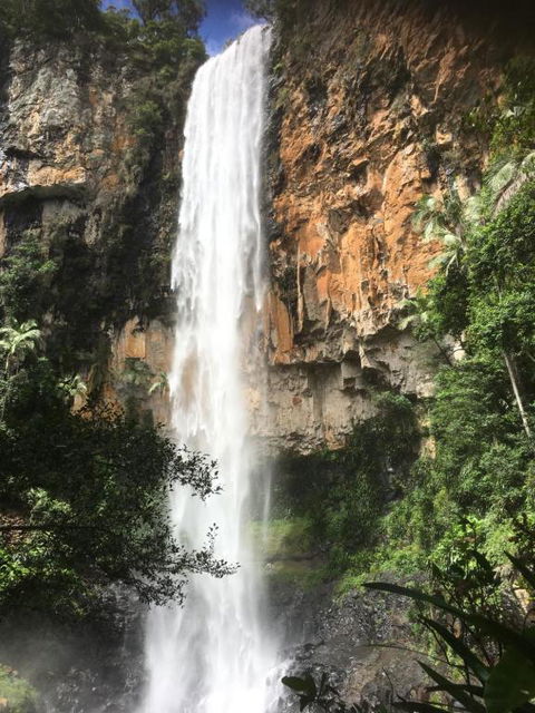 Purling Brook Falls Gwongorella - Melbourne Tourism 1