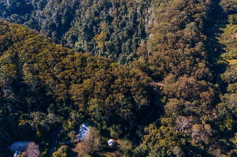 Purling Brook Falls Gwongorella - Melbourne Tourism 2