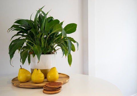 Azure Beach Retreat - Spa Luxury - Melbourne Tourism 2