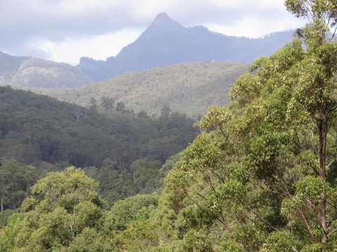 Babbling Brook Retreat - Melbourne Tourism 2