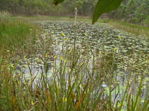 Back To The Bush - Melbourne Tourism 3