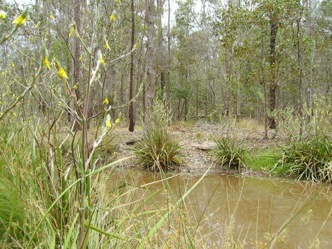 Back To The Bush - Melbourne Tourism 2