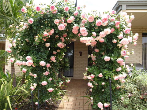 Baudins Of Busselton Bed And Breakfast - Melbourne Tourism 0