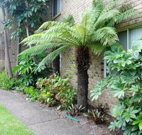 Beachfront Apartments - Melbourne Tourism