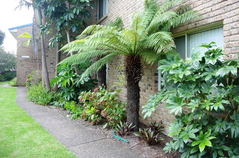 Beachfront Apartments - Melbourne Tourism 0