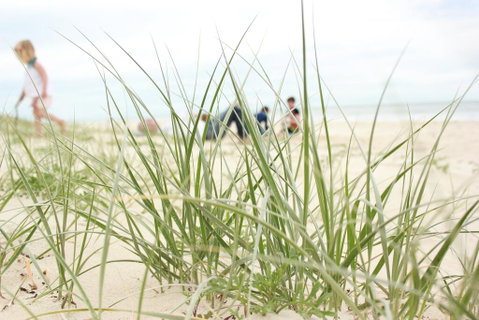 Beachfront At Bribie 2 Puppy Friendly - Melbourne Tourism 3