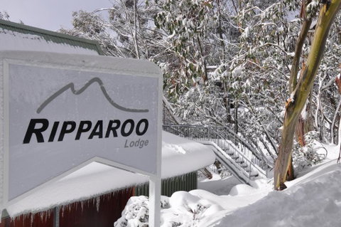 Ripparoo Lodge - Melbourne Tourism 0