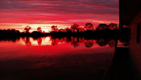 Rivershack Pet Friendly - Melbourne Tourism 3