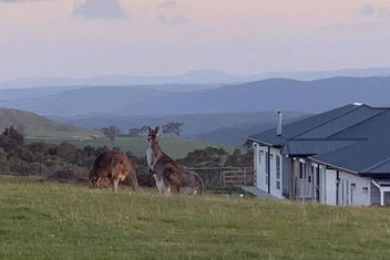 Rooks Edge with Melbourne Tourism