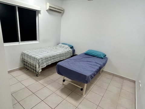 Room In City With Kittens! - Melbourne Tourism 1