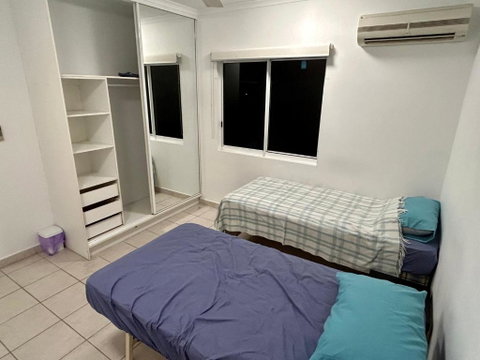Room In City With Kittens! - Melbourne Tourism 2