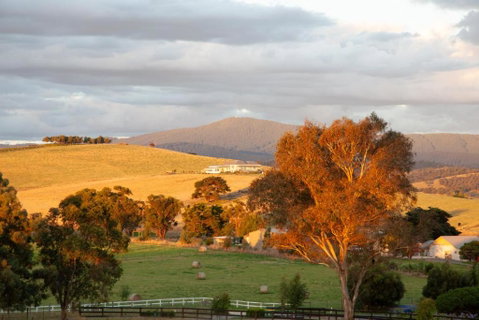 Rose Cottage Yarra Glen - Melbourne Tourism 1