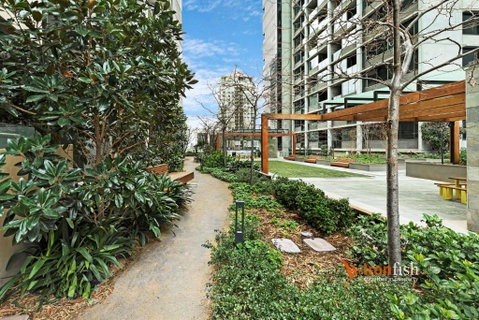 Sakura Apartment - Melbourne Tourism 3