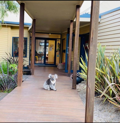 Sandpiper Motel Apollo Bay - Melbourne Tourism 3