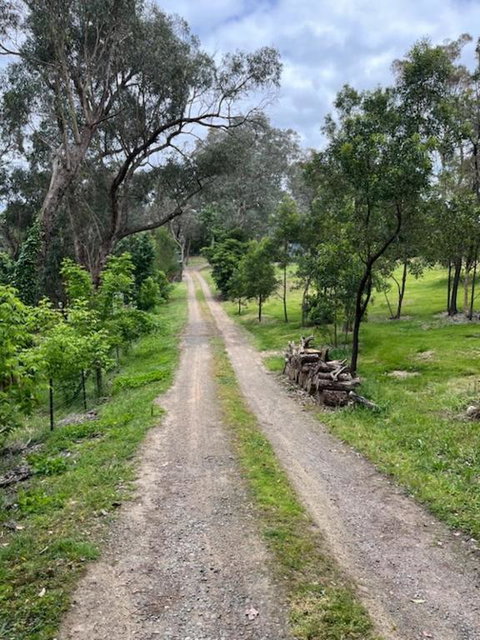 Spacious 4 Bed, 2 Lounge, 2 Bath, Acre Home With Tree Top Views - Yarra Valley Gateway! - Melbourne Tourism 0