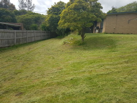 Beauna Vista Rye Holiday Home - Melbourne Tourism 2