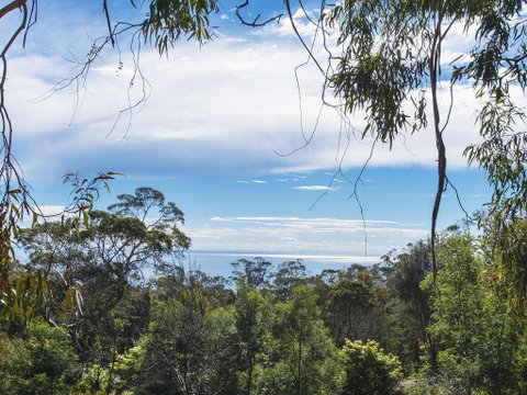 Bellevue Sur Mer - Melbourne Tourism 0