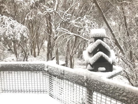 Belltrees - Melbourne Tourism 1