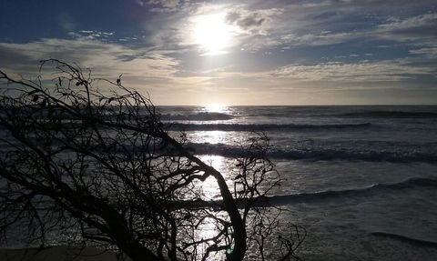 BIG4 Nambucca Beach Holiday Park - Melbourne Tourism 3
