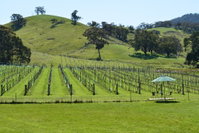 Book Mount Cole Accommodation Vacations Melbourne Tourism Melbourne Tourism