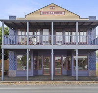 Blue Rosella On Piper - Melbourne Tourism