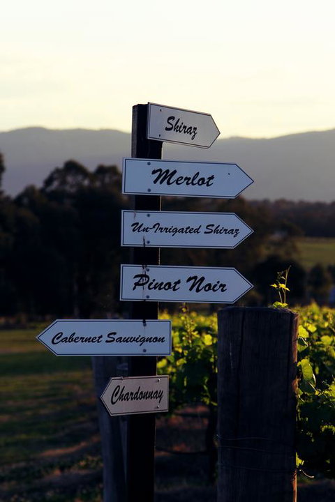 Blueberry Hill Vineyard Villa - Melbourne Tourism 3