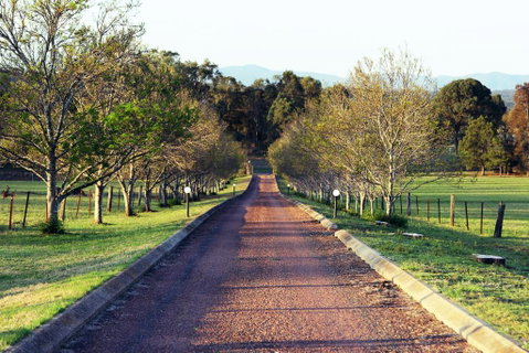 Blueberry Hill Vineyard Villa - Melbourne Tourism 0