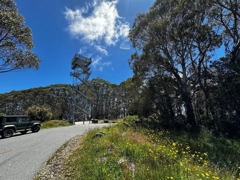 Tiny House At Gilderoy Valley Views - Melbourne Tourism 1