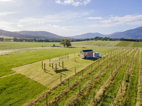 Warburton Tiny House - Tiny Stays - Melbourne Tourism 2