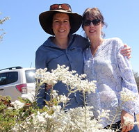 Spring Wildflower Private Day Tours - Melbourne Tourism