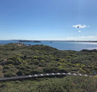 Penguin Island And Fremantle - Canoe Chocolate  Coffee - Melbourne Tourism