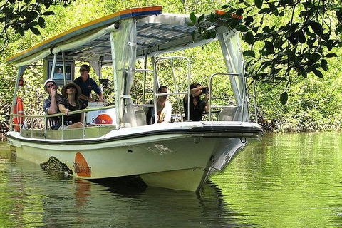 5-Day Best Of Cairns With Daintree, Kuranda, And Great Barrier Reef - Melbourne Tourism 1