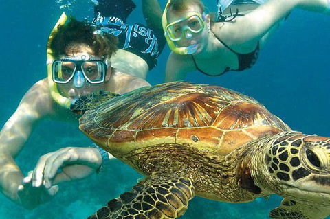 8-Day Cairns Tour: Great Barrier Reef, Kuranda, Daintree Rainforest - Melbourne Tourism 1